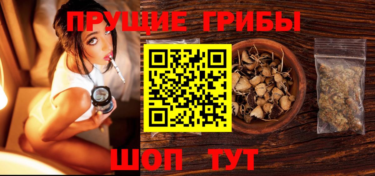Псилоцибиновые грибы MAGIC MUSHROOMS  где можно купить   Галлюциногенные грибы Cubensis  Дагестанские Огни  Вход с VPN 